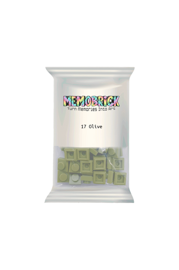 Bag of bricks- Olive Green 17 Memobrick