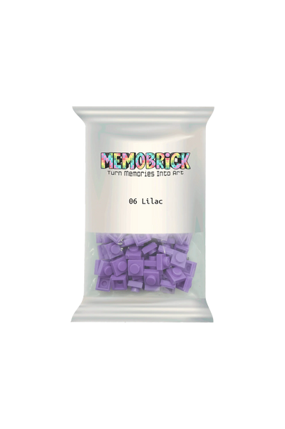 Bag of Bricks - Lilac 06