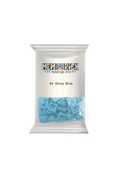Bag of Bricks -Shiny Blue 05