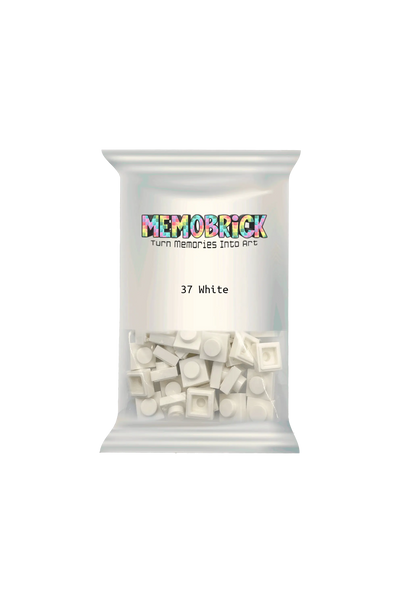 Bag of Bricks - White 37