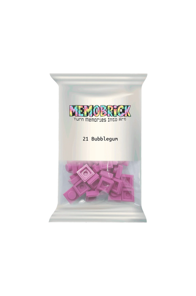 Bag of bricks- Bubblegum 21