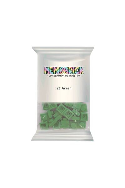 Bag of Bricks - Green 22