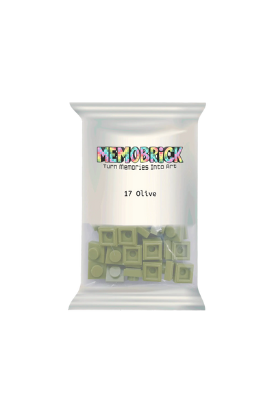 Bag of Bricks - Olive Green 17