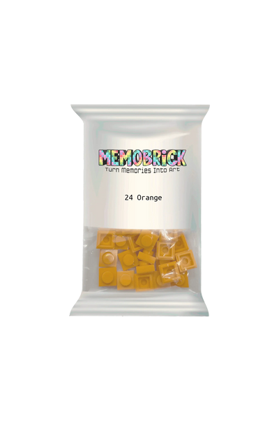 Bag of Bricks - Orange 24